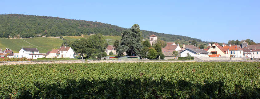 Gevrey-chambertin