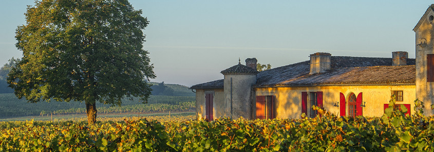 Château Sigalas Rabaud, Grand Cru Classé Château Sigalas Rabaud Grand Cru Classé, château sauternes, dégustation sauternes, grand cru classé sauternes, visite domaine sauternes