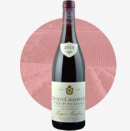 Vin-gevrey-chambertin