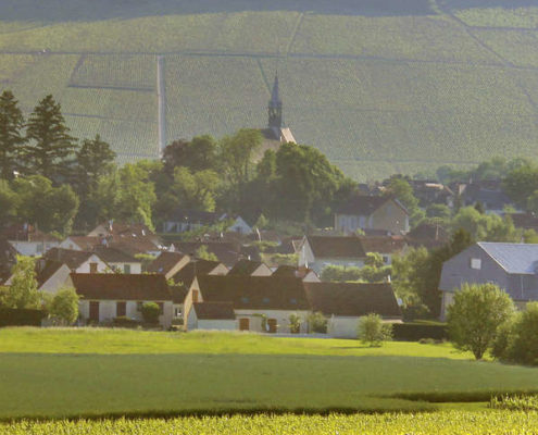 Vignoble de chablis