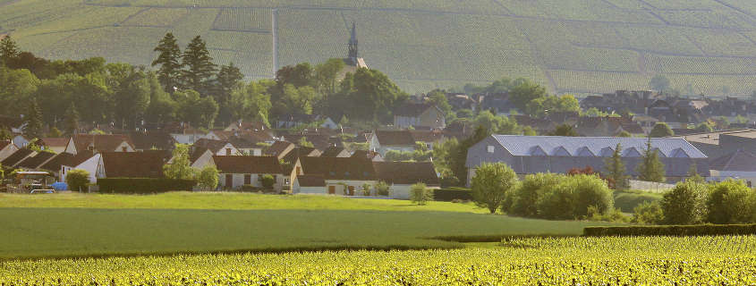 Vignoble-petit-chablis Vignoble petit chablis