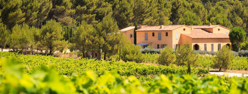 Villa Minna Vineyard