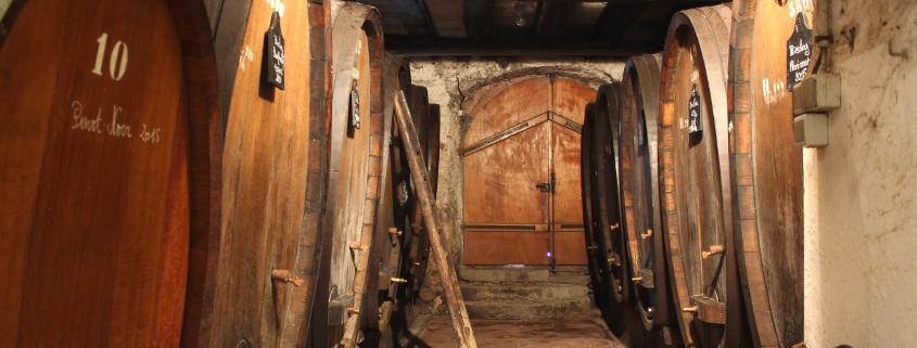 Cave Jean-Baptiste Adam Domaine Jean Baptiste Adam Ammerschwihr