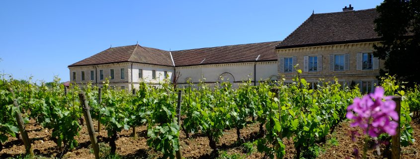 Domaine Famille Picard Domaine Famille Picard