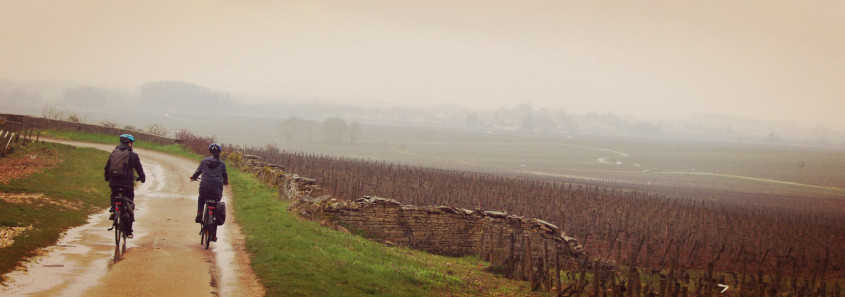 Maison Champy, Beaune Parcours à vélo dans les vignes, Maison Champy, Beaune
