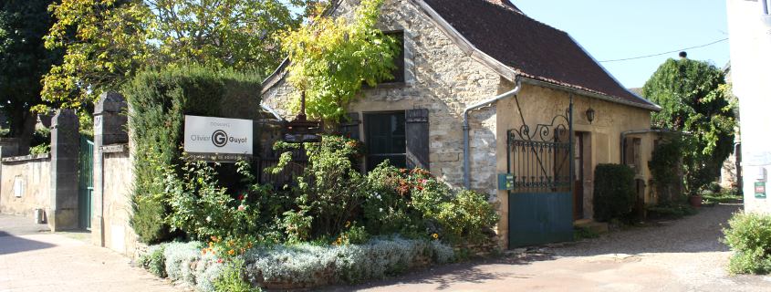 Domaine Olivier Guyot Domaine Olivier Guyot