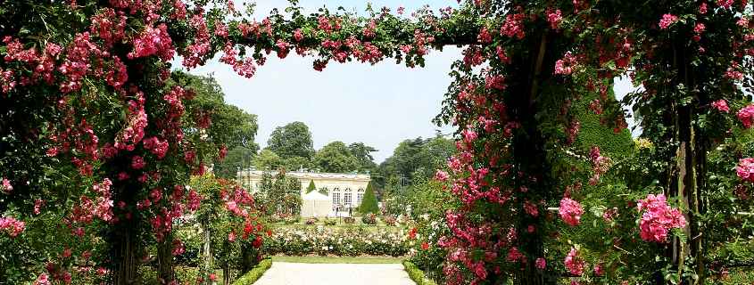 Jardin de l'arquebuse Jardin de l'arquebuse Dijon, jardin des sciences Dijon