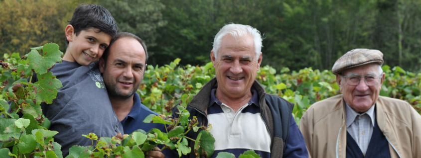 Domaine Benoit Daridan Domaine Benoit Daridan