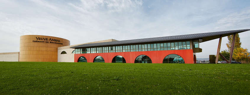 Domaine-veuve-ambal visit vineyards beaune, wineries burgundy, wineries beaune, vineyard beaune, famous winery beaune