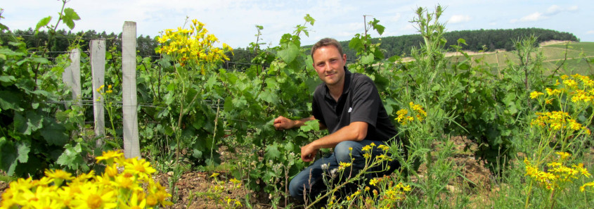 Champagne Richard Royer, Balnot-sur-Laignes