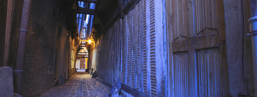 Ruelle des chats