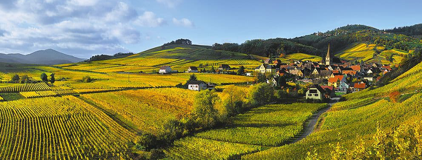 Alsace wine road Alsace wine route, Alsace wine route