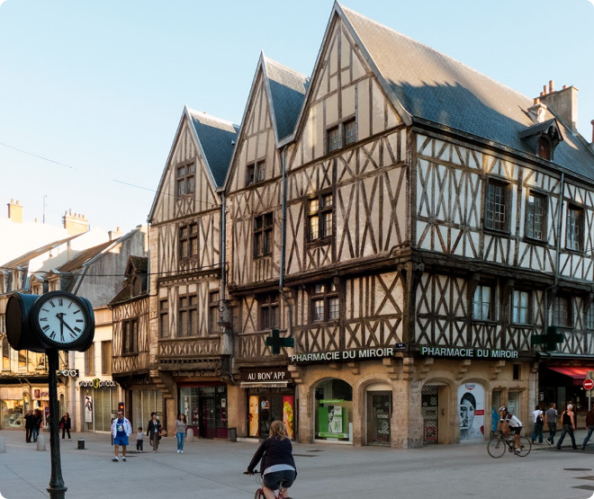 Dijon france discount