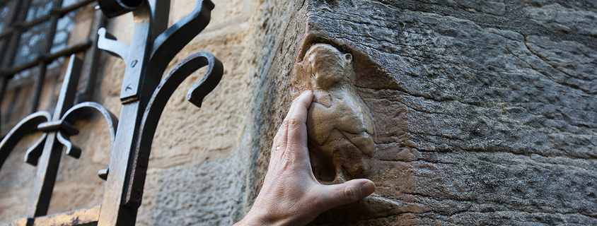 Owl of the Church Notre-Dame Dijon Church Notre-Dame Dijon