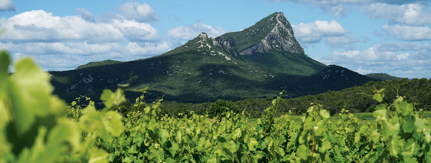 Pic Saint Loup Pic Saint Loup