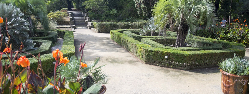Jardin des plantes Montpellier Jardin des plantes Montpellier