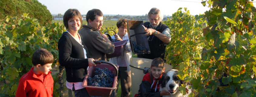 Maison Audebert et Fils Maison Audebert et Fils Bourgueil