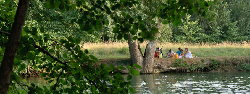Parc Francois 1er Parc Francois 1er Cognac
