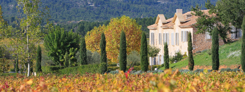 Château Paradis Château Paradis Coteaux d'aix en provence