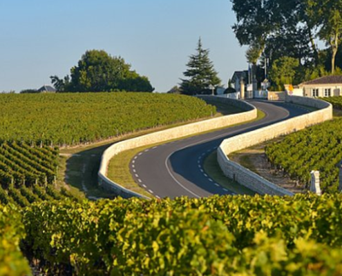 route des vins du médoc, route des vins de bordeaux, visite route des vins médoc, visite domaines médoc