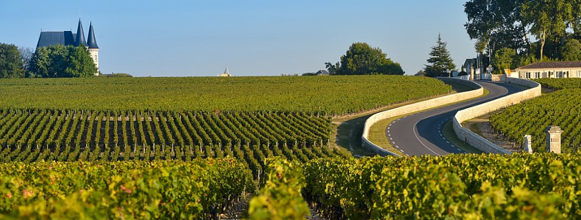 Route des vins du Médoc route des vins du médoc, route des vins de bordeaux, visite route des vins médoc