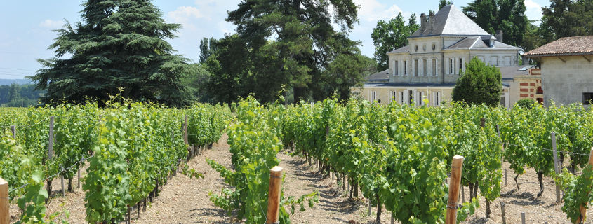 Route des vins des Graves et de Sauternes route des vins des graves et de sauternes, chateau haut nouchet pessac leognan