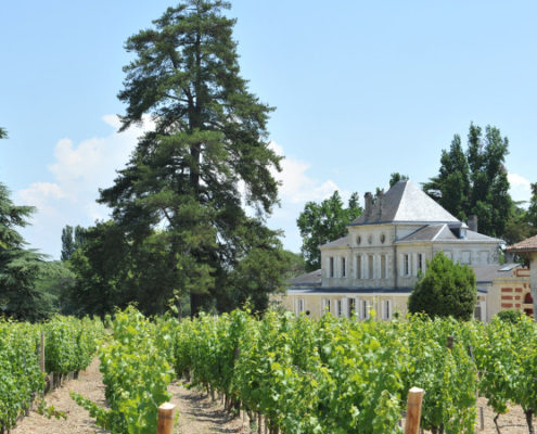 Route des vins Graves et Sauternes