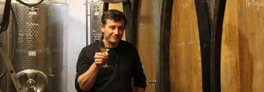 Domaine Agapé route des vins riquewihr, visite domaine riquewihr, domaine agapé