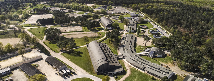 View on national school view on national school of horse riding saumur