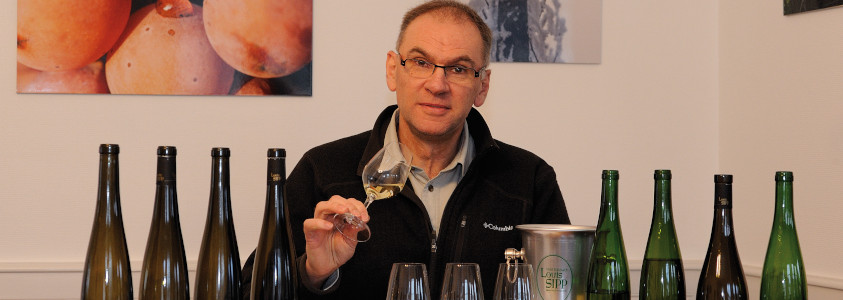 Domaine Louis Sipp visite domaine ribeauvillé route des vins d'alsace, route des vins ribeauville, domaine louis sipp ribeauvillé