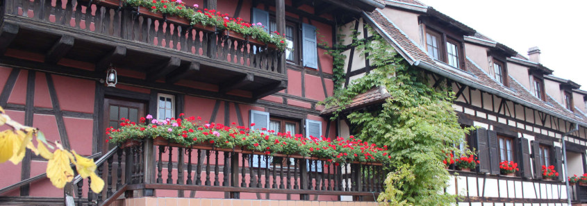 Domaine Pfister Domaine Pfister, Domaine Pfister Dahlenheim, domaine strasbourg, visite domaine strasbourg
