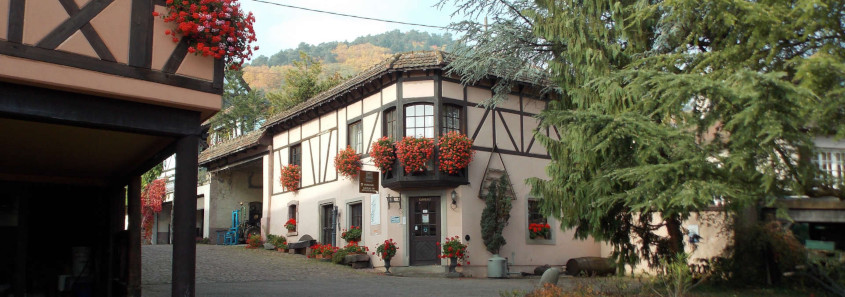 Domaine Kuentz Bas Domaine Kuentz Bas, Domaine Kuentz Bas husseren les chateaux, Domaine Kuentz Bas colmar, visite domaine colmar