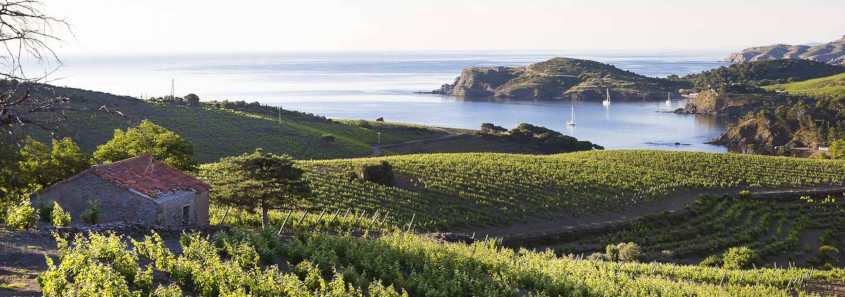 Les Clos de Paulilles, Port-Vendres Les Clos de Paulilles,