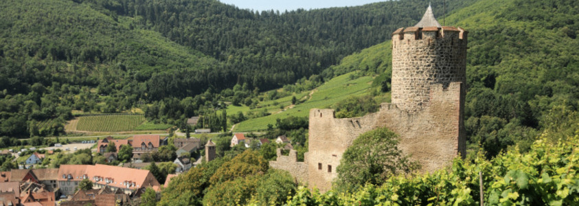 Kaysersberg's castle Kaysersberg's castle, castle kaysersberg, kaysersberg