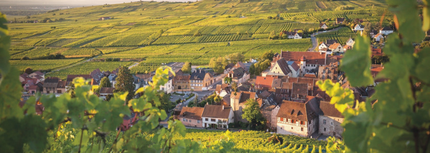 Riquewihr alsace wine route village, riquewihr, alsace beautiful village,