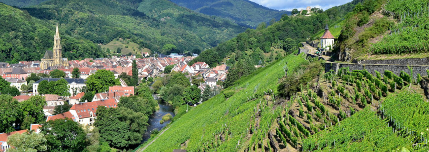 Thann, Alsace thann, wine route stage, alsace wine route village