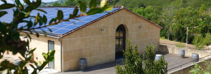 Clos de l'Amandaie, Aumelas Clos de l'Amandaie, Clos de l'Amandaie aumelas, visite domaine montpellier, dégustation vin près de montpellier, grès de montpellier