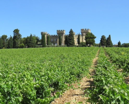 Route des vins de la Vallée du Rhône sud, faire la route des vins du rhone sud, route des vins rhone meridionale, route des vins chateauneuf du pape, route des vins gigondas, route des vins du rhone du sud