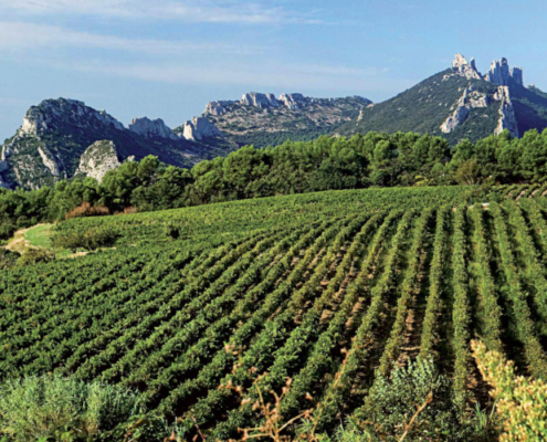 Route des vins de la vallée du Rhône, route vin rhone, route des vins en vallée du rhone, route des vins rhone septentrional meridional, visite route des vins rhone, dégustation route des vins rhone