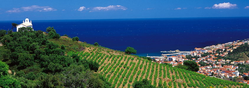 Route des vins du Languedoc-Roussillon Route des vins du Languedoc-Roussillon, route des vins en Languedoc Roussillon, route vins languedoc roussillon, route des vins du sud, itinéraire route des vins languedoc roussillon