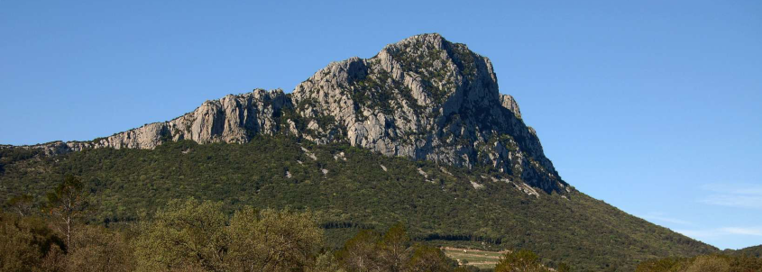 Pic Saint-Loup