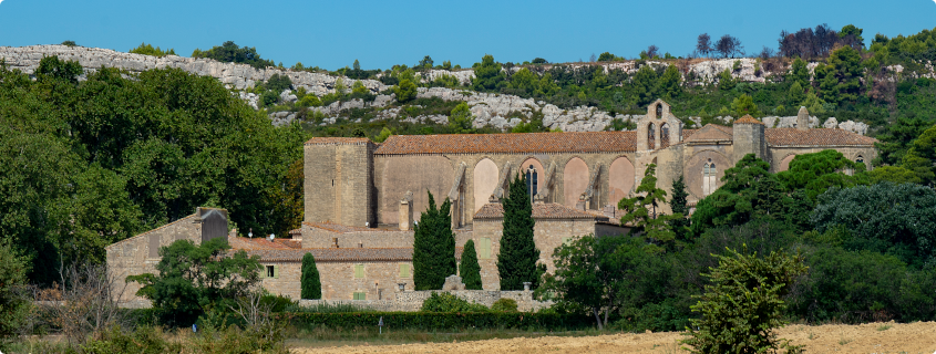 Abbaye de Valmagne Abbaye de Valmagne