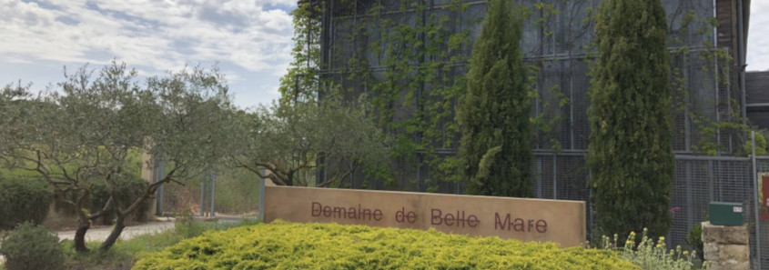 Domaine de Belle Mare, Mèze Domaine de Belle Mare, Domaine de Belle Mare Mèze, dégustation Domaine de Belle Mare, visite étang de thau, dégustation vin mèze, dégustation vins étang de thau, dégustation picpoul de pinet