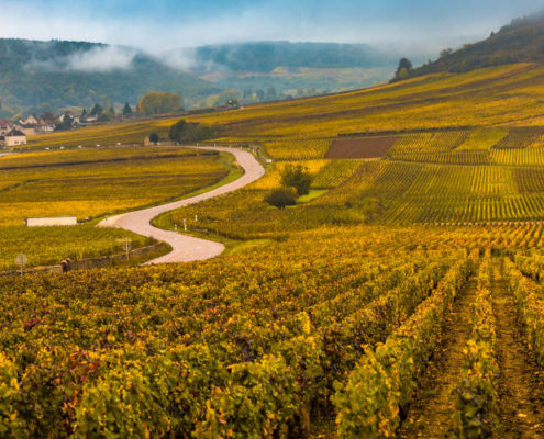 Visiter Bourgogne