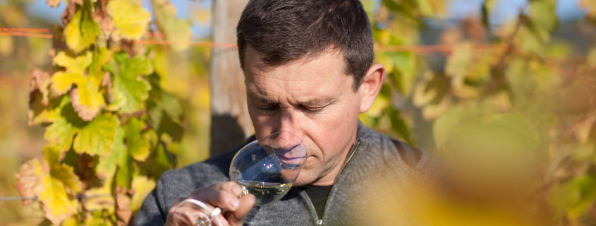 Domaine Agapé Route des vins de Colmar, Alsace, Visiter l'Alsace, Route des vins d'Alsace, Colmar, Que faire en Alsace