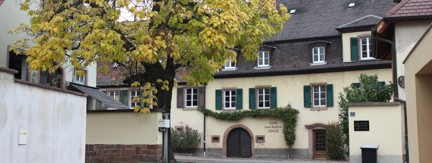 Domaine Jean-Baptiste Adam Route des vins de Colmar, Alsace, Visiter l'Alsace, Route des vins d'Alsace, Colmar, Que faire en Alsace