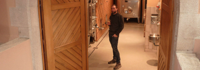 Domaine Jean-Louis et Fabienne Mann Route des vins de Colmar, Alsace, Visiter l'Alsace, Route des vins d'Alsace, Colmar, Que faire en Alsace