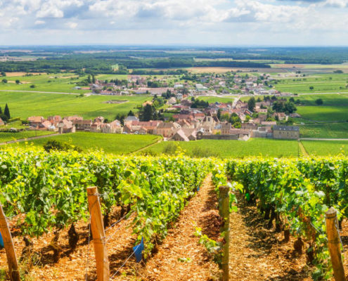 côte d'or, vignoble, vin, tourisme
