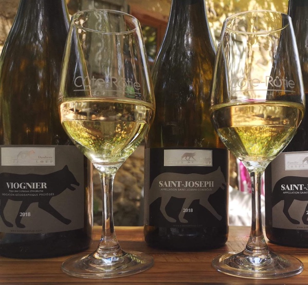 Saint Joseph blanc tout savoir sur ce vin