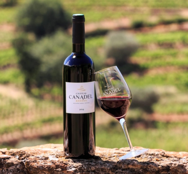 Bandol rouge tout savoir sur ce vin
